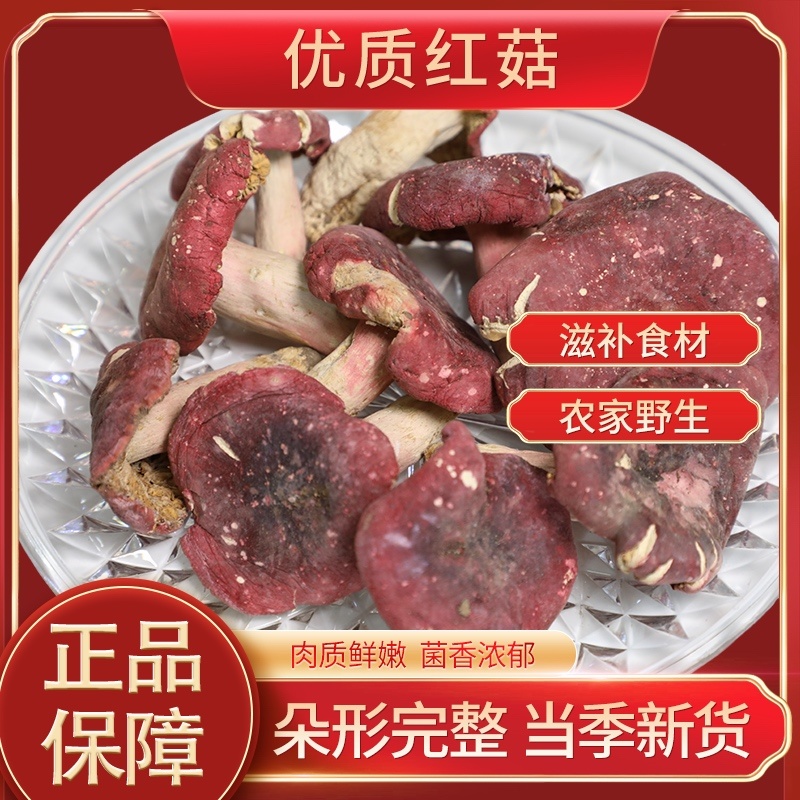 【热卖】南召精品红菇颗颗精选营养鲜美肉质鲜嫩产地直发
