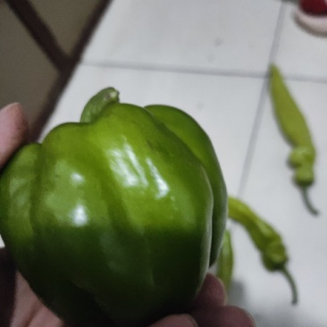 麻椒精品