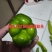 麻椒精品