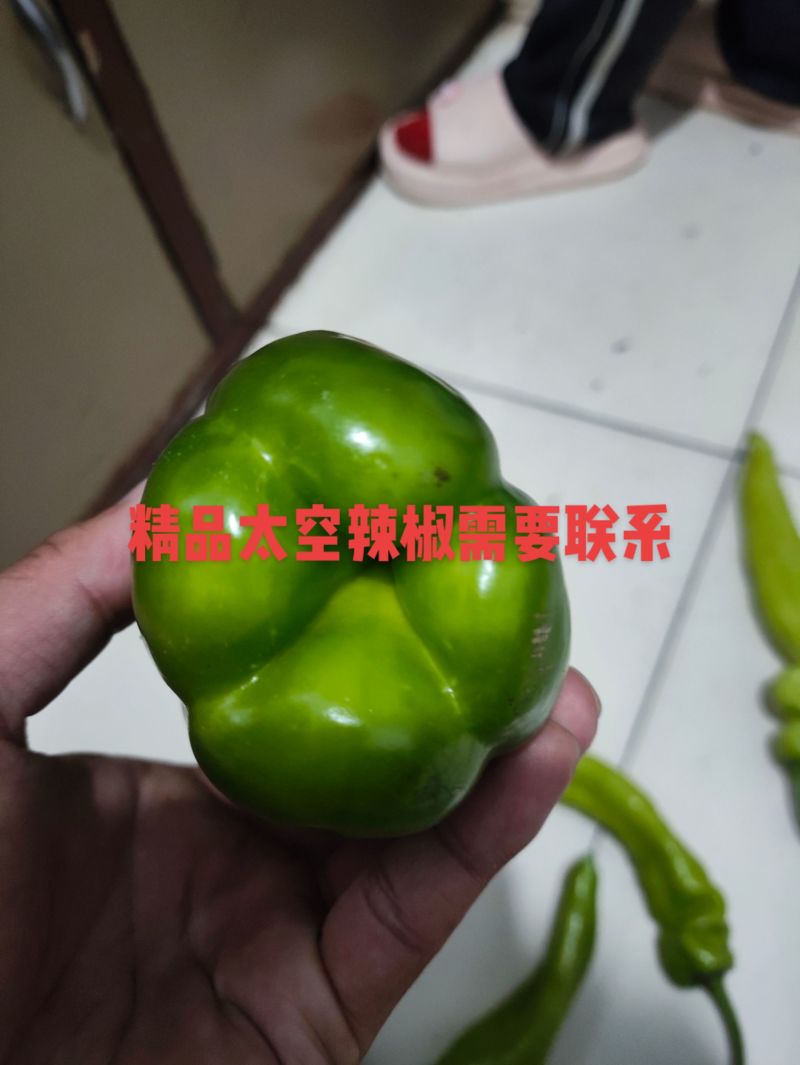 麻椒精品