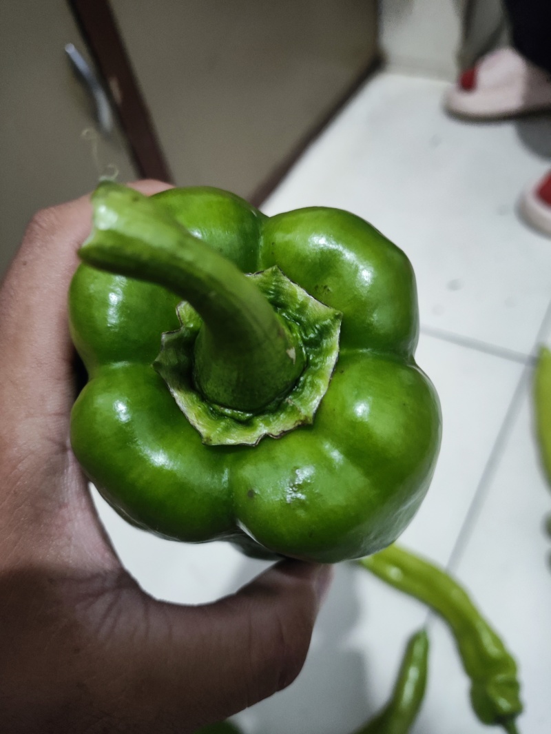 麻椒精品