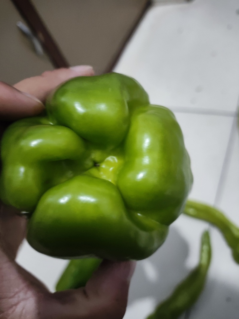 麻椒精品