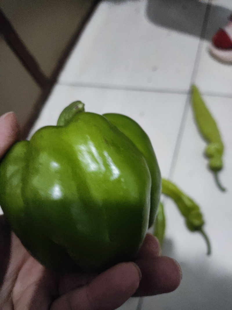 麻椒精品