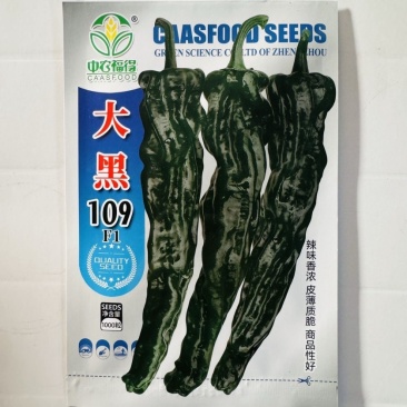 大黑109皱皮椒种子，黑皱皮香辣口感品种种子