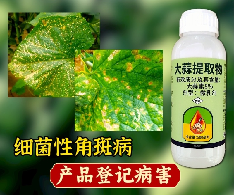 大蒜油植物源杀菌剂细菌性角斑病大蒜提取物农用正品