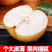 秋月梨/现摘现发/汁水丰盈/果肉细腻无渣/量大价优/速联​