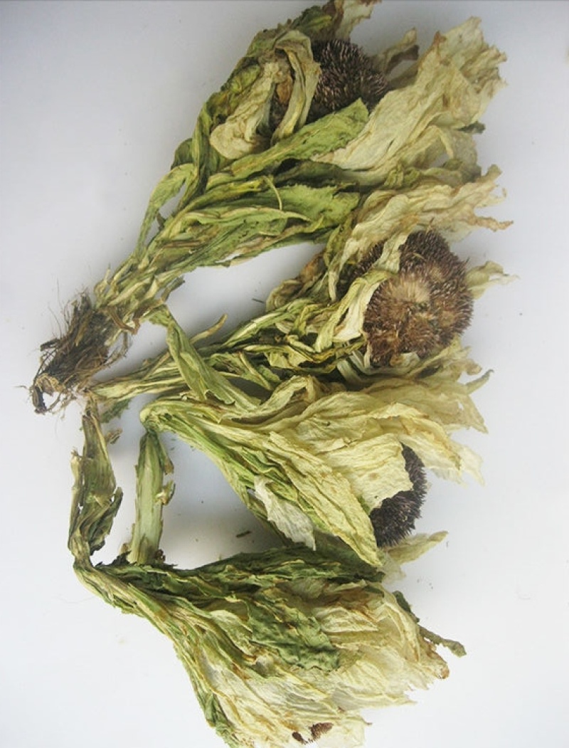 天山雪莲中药材精品欢迎各位老板来电咨询订购