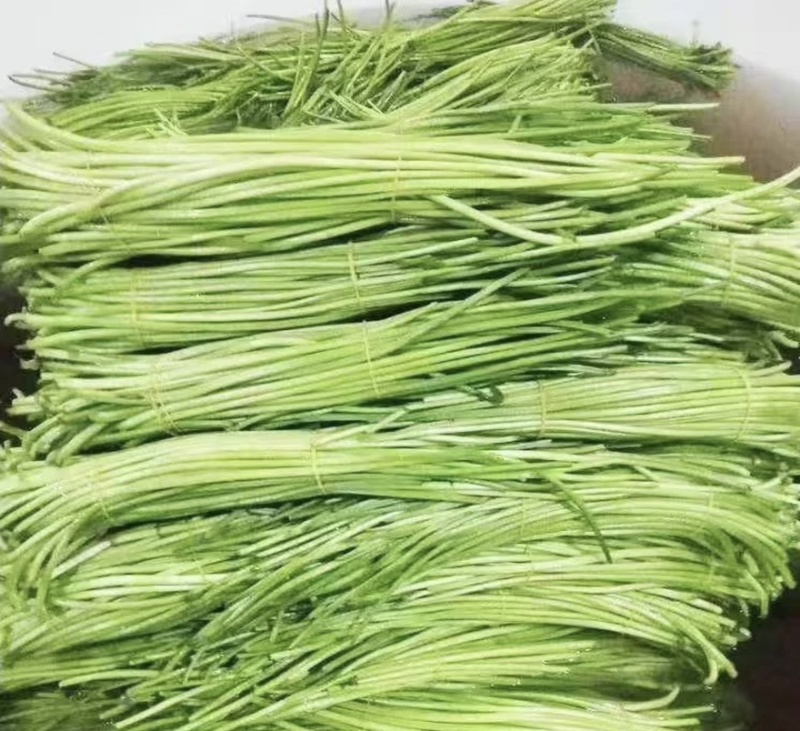 食用红薯梗