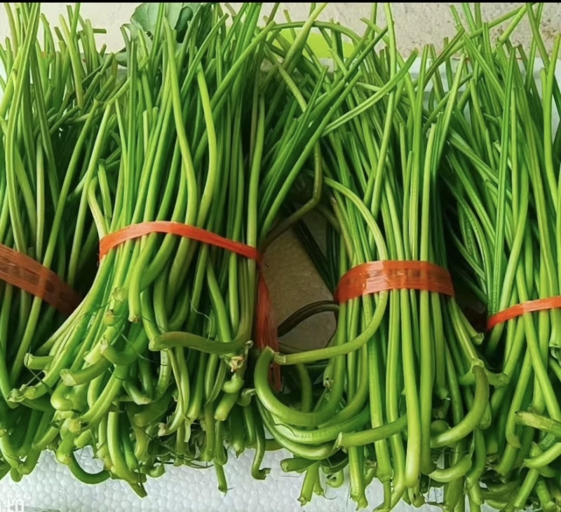 食用红薯梗