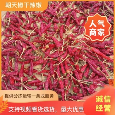 广西龙脊干辣椒皮薄肉厚产地直发量大价优对接全国采购商