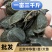 江西正宗中华鳖日本鳖黄沙鳖黑花鳖2025年100只批发
