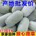 江西冬瓜水果冬瓜现摘现发大冬瓜农家自种新鲜蔬菜批发
