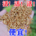 包邮《黄粉虫》四川养殖基地直发对接全国提供技术指导