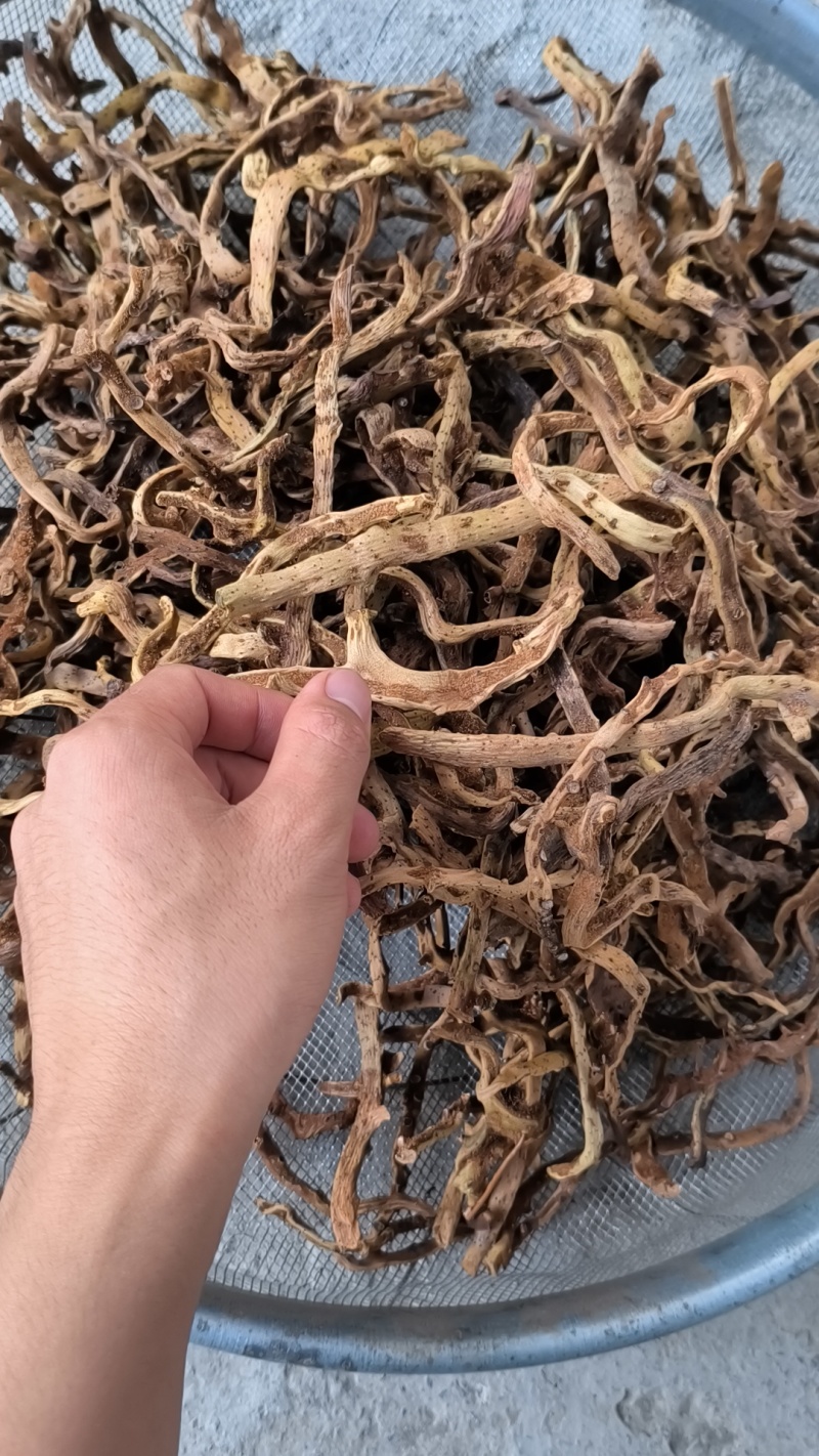野生骨碎补干货脱毛