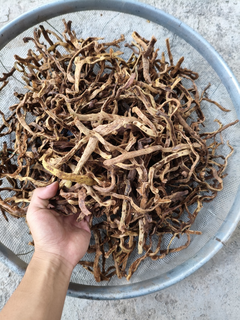 野生骨碎补干货脱毛