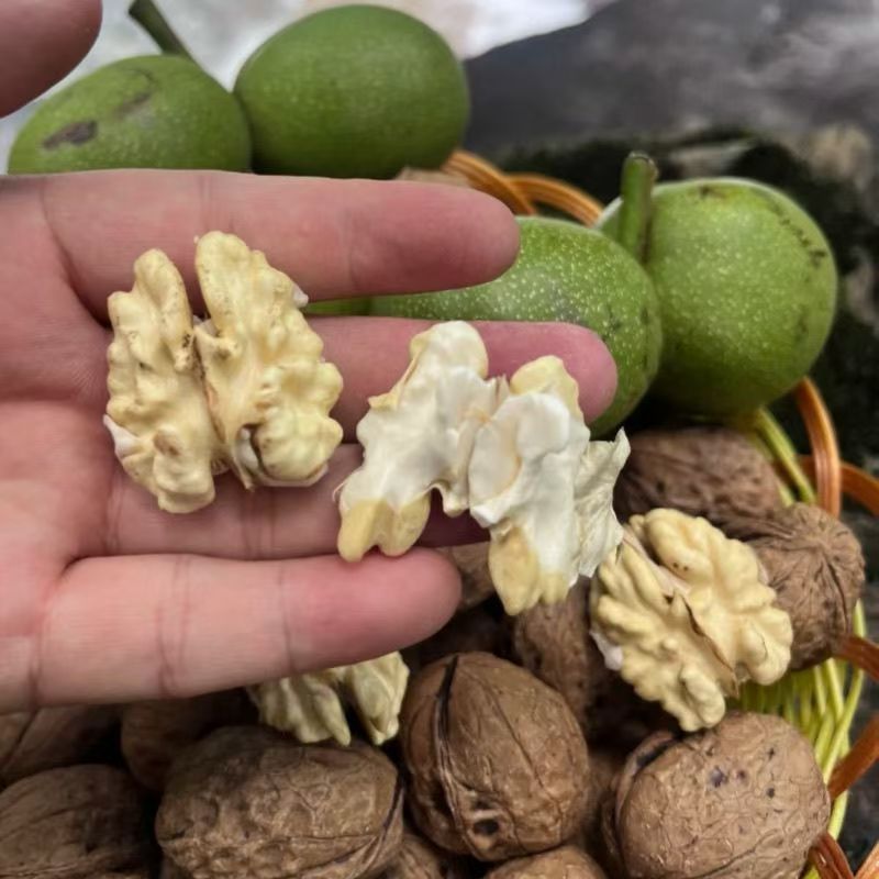 云南泡核桃