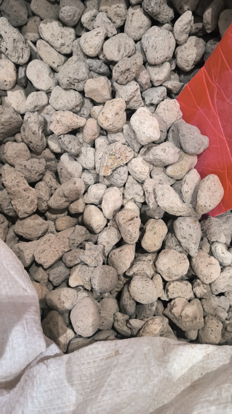 海浮石正品质量保证诚信经营，量大从优欢迎咨询选购…
