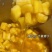 华南九号黄心木薯货源充足量大从优质量保证欢迎咨询