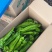 黑龙江省大庆市肇州县新福乡大棚头茬尖椒货源充足