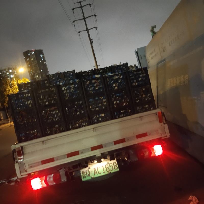 山东临沂破壳咸鸭蛋**