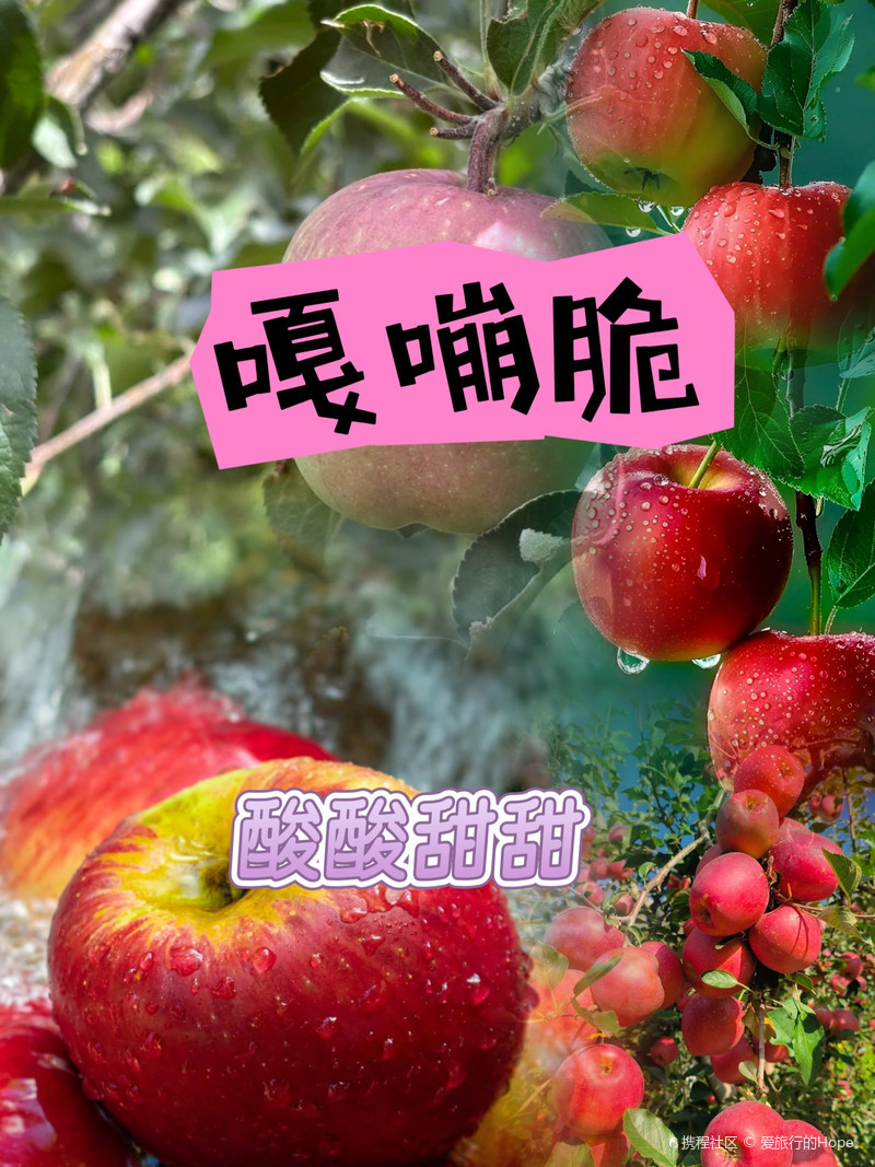 昭通苹果大量有货，产地一手货源，欢迎新老客户前来合作