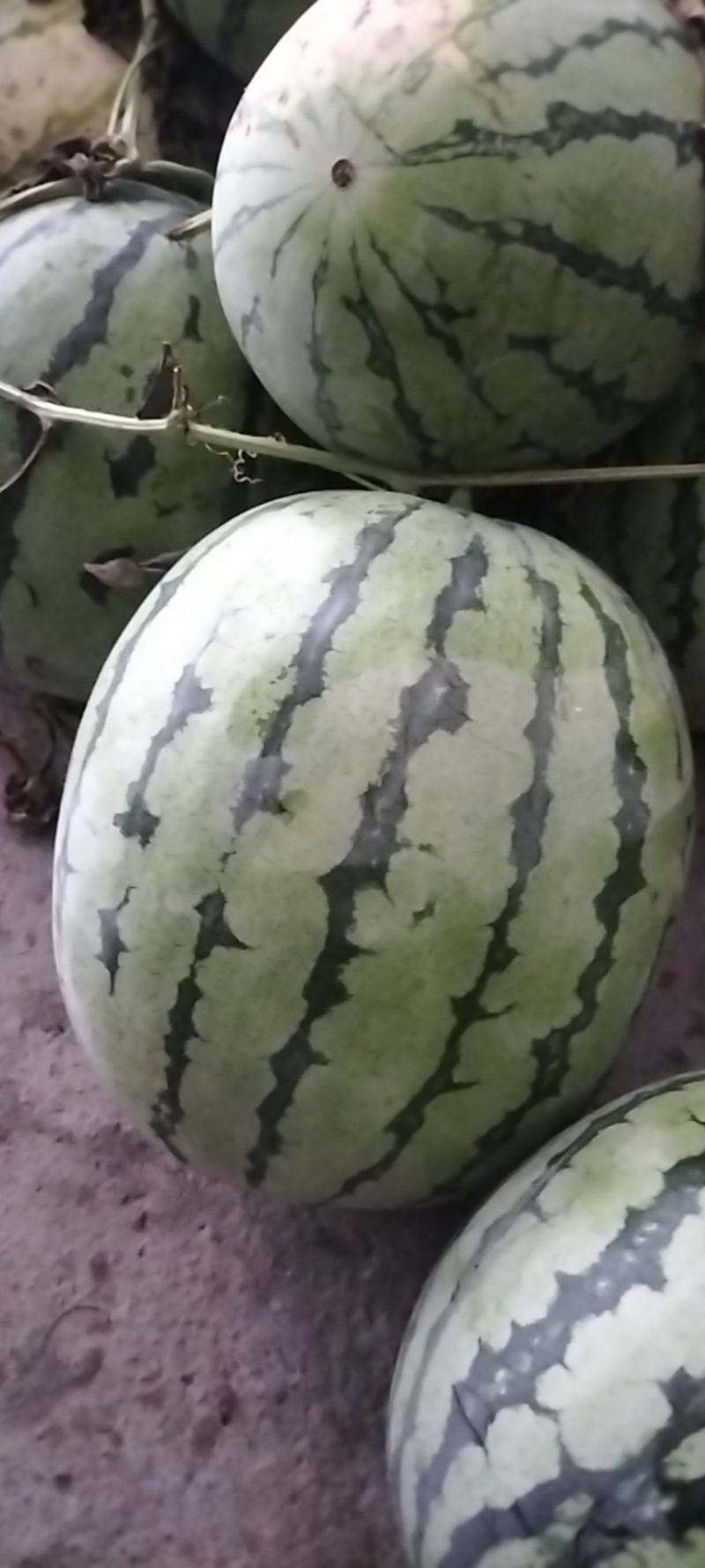 附近有需要的来看看货