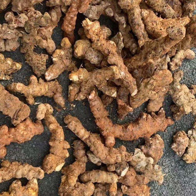 广东本地野生土茯苓，新鲜土茯苓白肉，有需要来电或咨询详谈