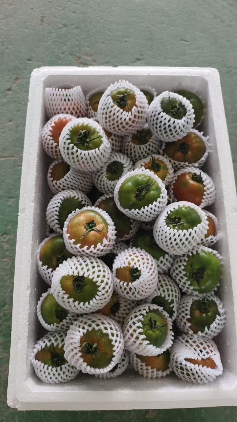 草莓番茄，产地直发，草莓西红柿，源头货源