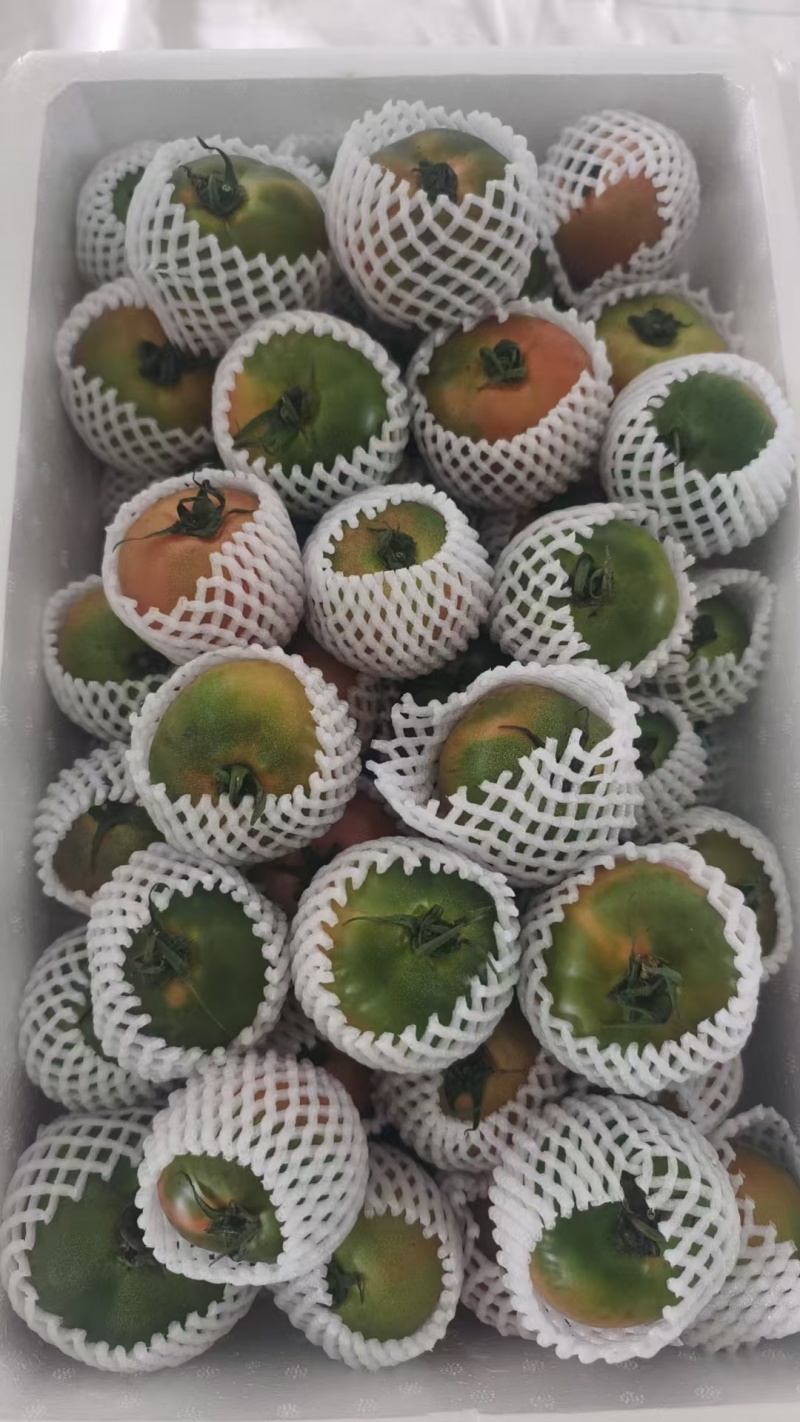 草莓番茄，产地直发，草莓西红柿，源头货源