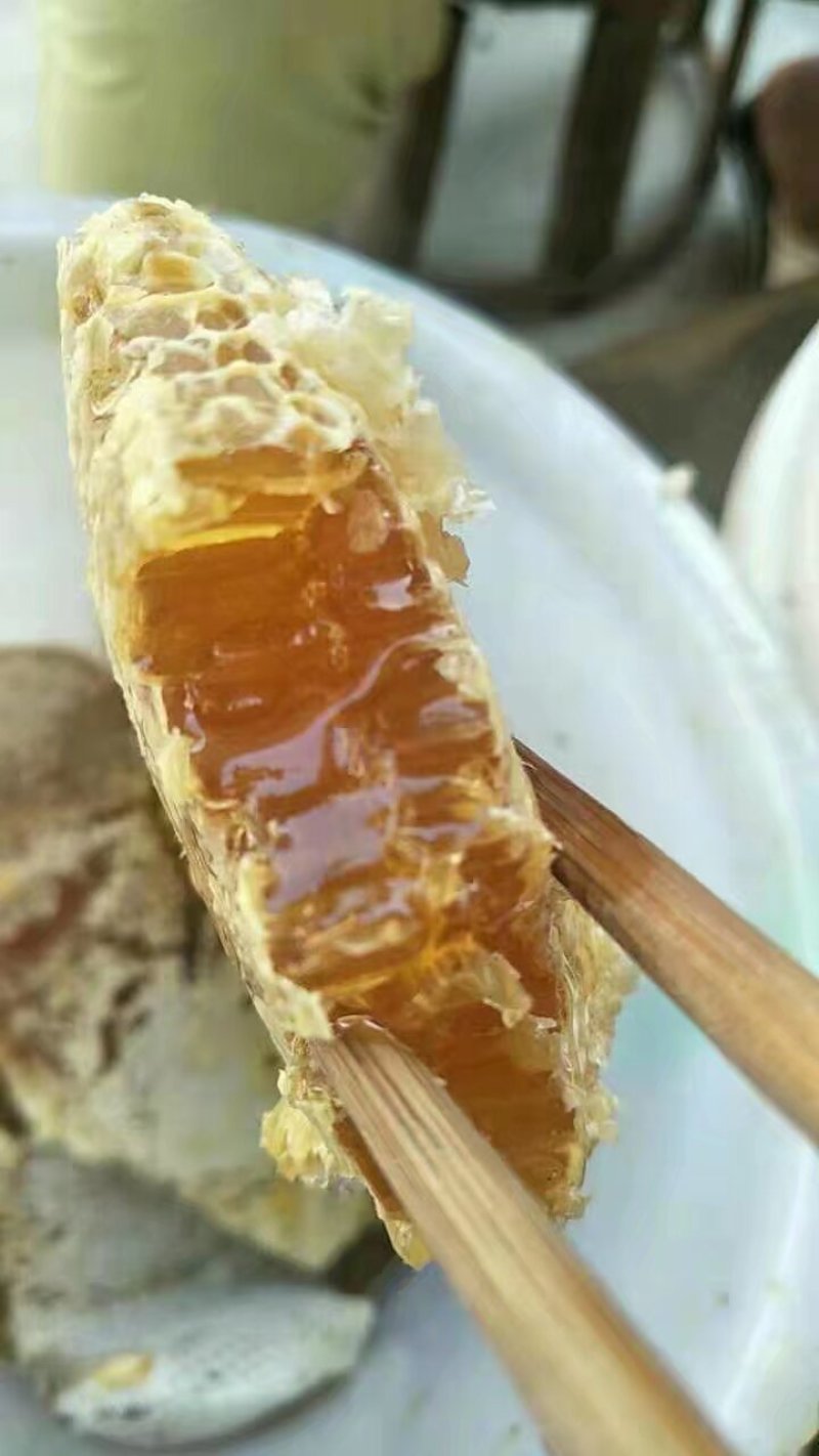 土蜂蜜