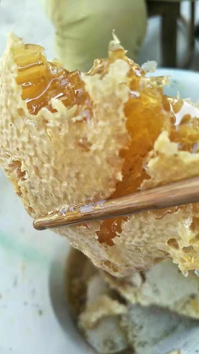 土蜂蜜