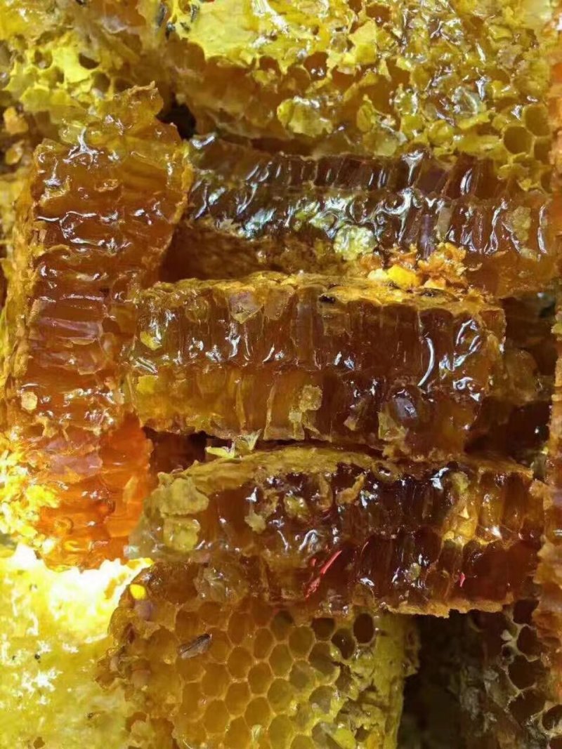 土蜂蜜