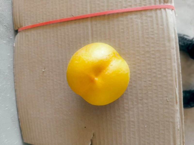 离核中油8号20万袋子