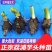 广西3万亩正宗荔浦芋头种子/种子/芋头种子