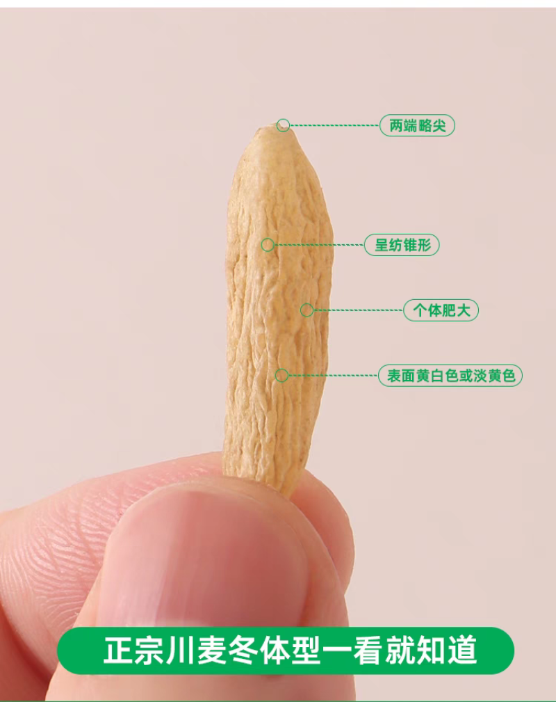川麦冬大颗粒批发中药材原料批发中药材各种规格欢迎留言订购