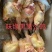 现杀新鲜大冠土公鸡