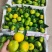 湖北精品特早蜜橘大量上市品质保证量大从优一手货源