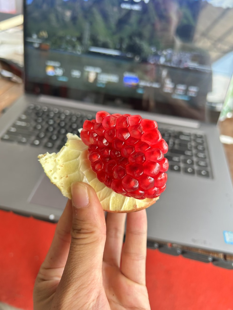 精品会理石榴大量上市支持一件代发团购超市欢迎联系