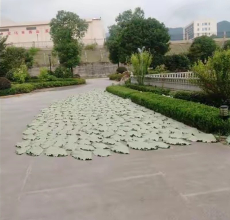 2025年荷叶整张大张批发叫花鸡糯米鸡黄泥商用荷叶鸡荷叶