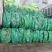 2025年荷叶整张大张批发叫花鸡糯米鸡黄泥商用荷叶鸡荷叶