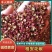 干花椒大量上市量大从优欢迎新老客户下单选购