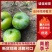 来自高山的青脆李子。口感鲜美。品质保证。量大从优