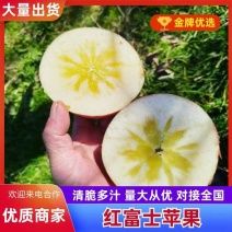 精品四川汉源糖心红富士苹果，产地货源，品质保证，量大从优