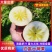 精品四川汉源糖心红富士苹果，产地货源，品质保证，量大从优