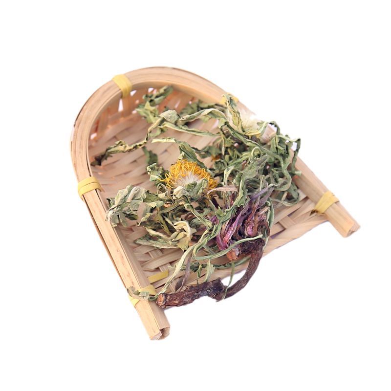 蒲公英茶带根带花纯干的新货蒲公英蒲公英