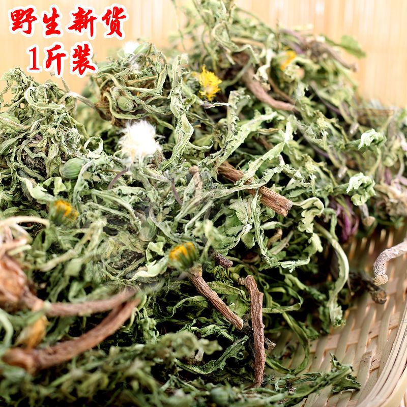 蒲公英茶带根带花纯干的新货蒲公英蒲公英