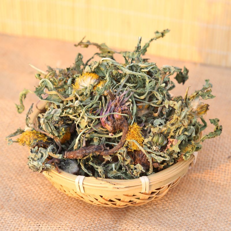 蒲公英茶带根带花纯干的新货蒲公英蒲公英