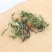 蒲公英茶带根带花纯干的新货蒲公英蒲公英