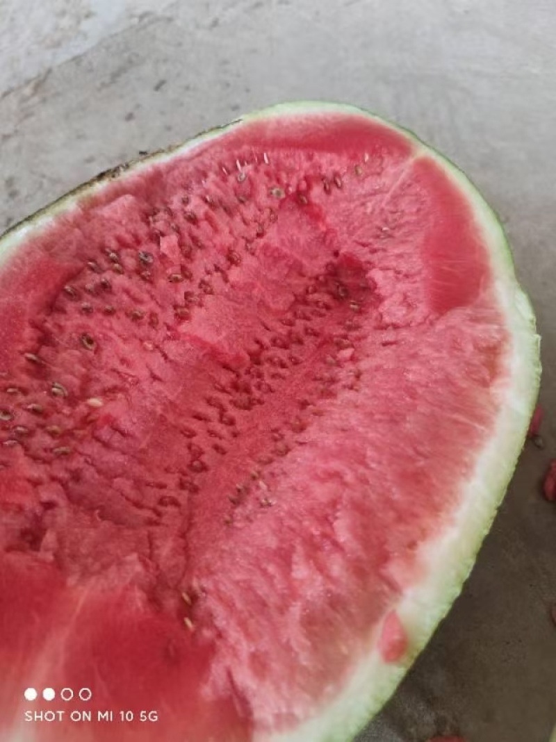 源头供应西瓜甜度高品质好
