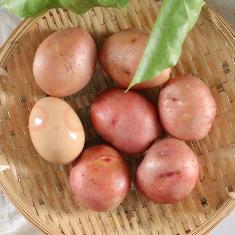 红皮小土豆正宗红皮黄心土豆红皮马铃薯